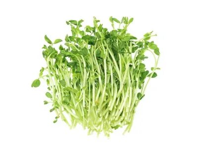 Pea shot