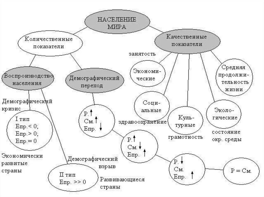 Мир схем. Царство животных классификация схема 3 класс. Мир схем. Классификация религий таблица. Схема примерной программы окружающий мир.