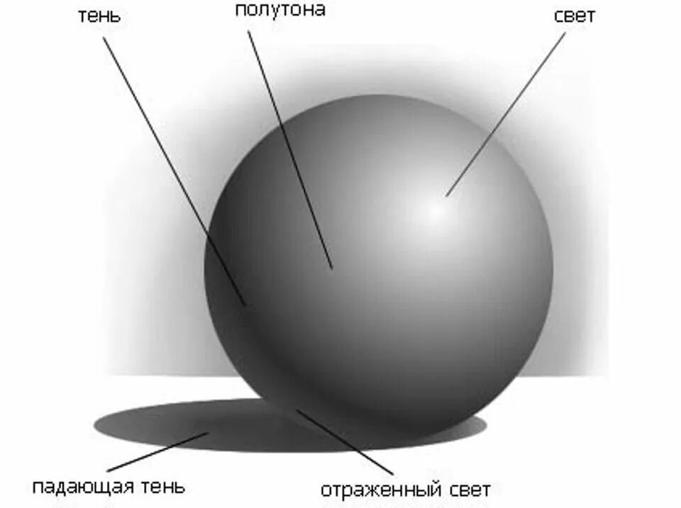 Между свет м и тенью. Падающая тень. Свет и тень на предметах. Элементы светотени на рисунке. Свет тень полутон.