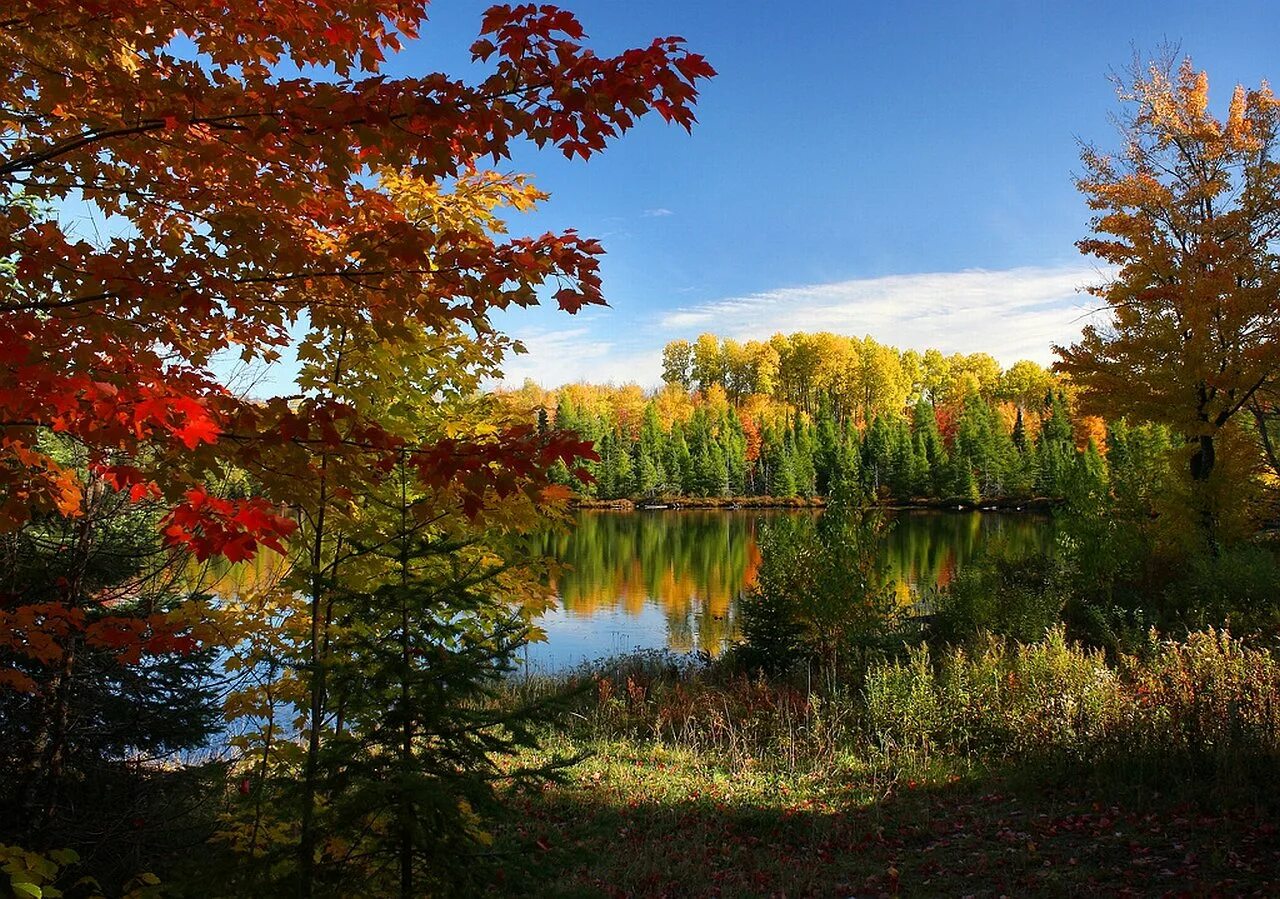 Может ли вас взволновать красота осеннего леса. Природа осень. Ранняя осень. Природа осенью. Сентябрь природа.