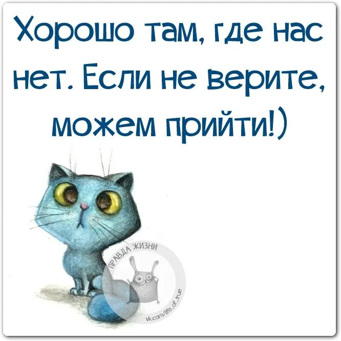 Прикольная правда жизни. Прикольная правда жизни. Правда жизни приколы. Смешные цитаты. Правда жизни цитаты.