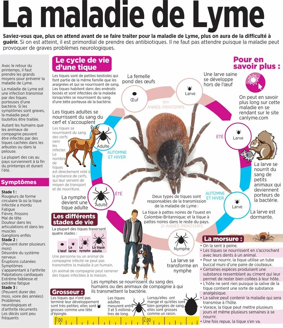 Est peu. Côté nourrir информация о человеке.