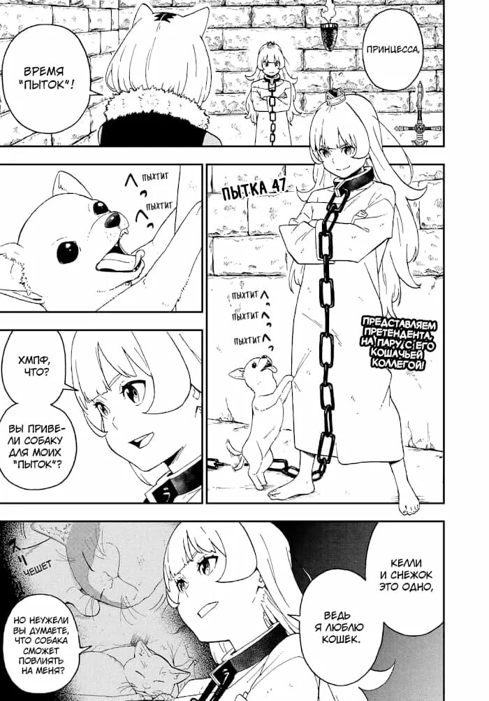 Пытки принцессы. Принцессу мангу пытают. Interrogation princess irina guide. Пытки принцессы манга. Пытки принцесс.