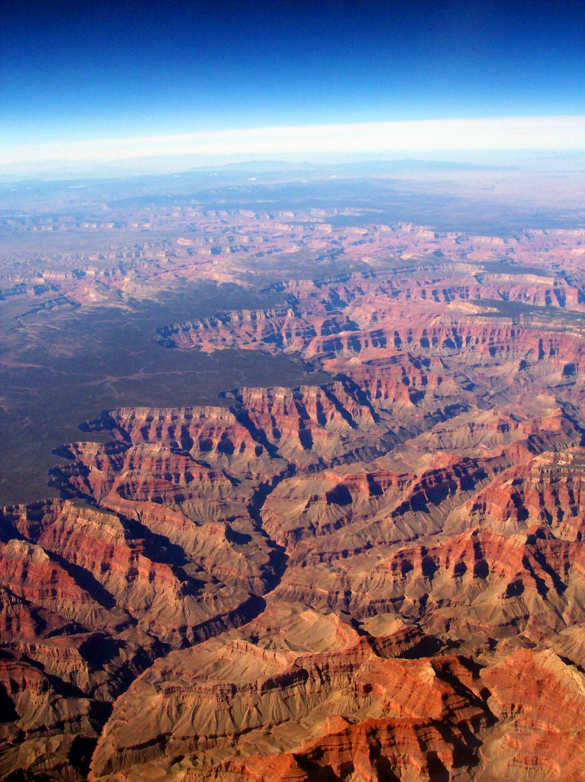 Canyon life. Гранд каньон. Национальный парк Гранд-каньон. Большой каньон. Гранд каньон фото.