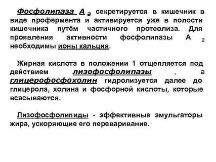 Фосфолипаза