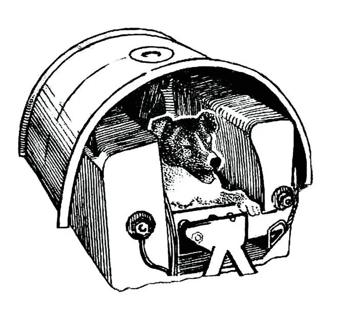 Спутник 5 собаки. Спутник 2 лайка. Лайка полетевшая в космос в 1957 году. Собака лайка на спутнике 2. Собака-космонавт в кабине.