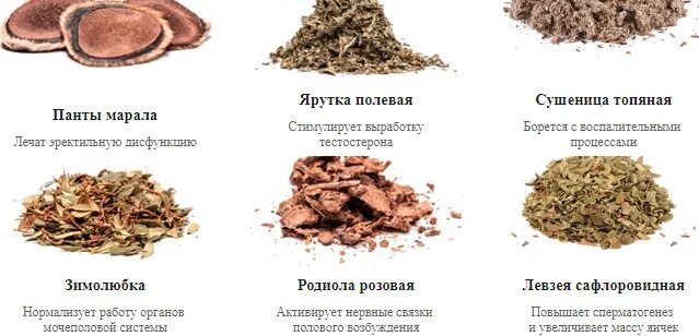 Продукты для повышения либидо. Травы повышающие тестостерон. Травы для повышения тестостерона у мужчин. Продукты для женского либидо повышения. Продукты повышающие тестостерон.