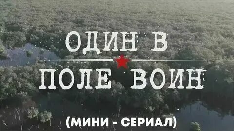 Один в поле воин bearwolf тест