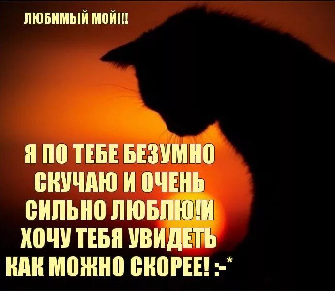 Я очень сильно скучаю по тебе. Я очень скучаю по тебе картинки. Я тебя очень люблю и скучаю. Я тебя очень сильно люблю и скучаю. Хочу тебя другими словами