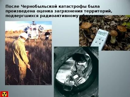 Воздействием вследствие катастрофы на чернобыльской