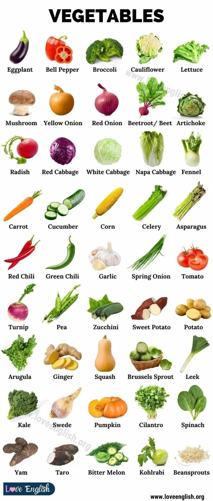 Vegetables list. Names of Vegetables in English. Names of Fruits and Vegetables in English. Овощи на английском. Vegetables название.