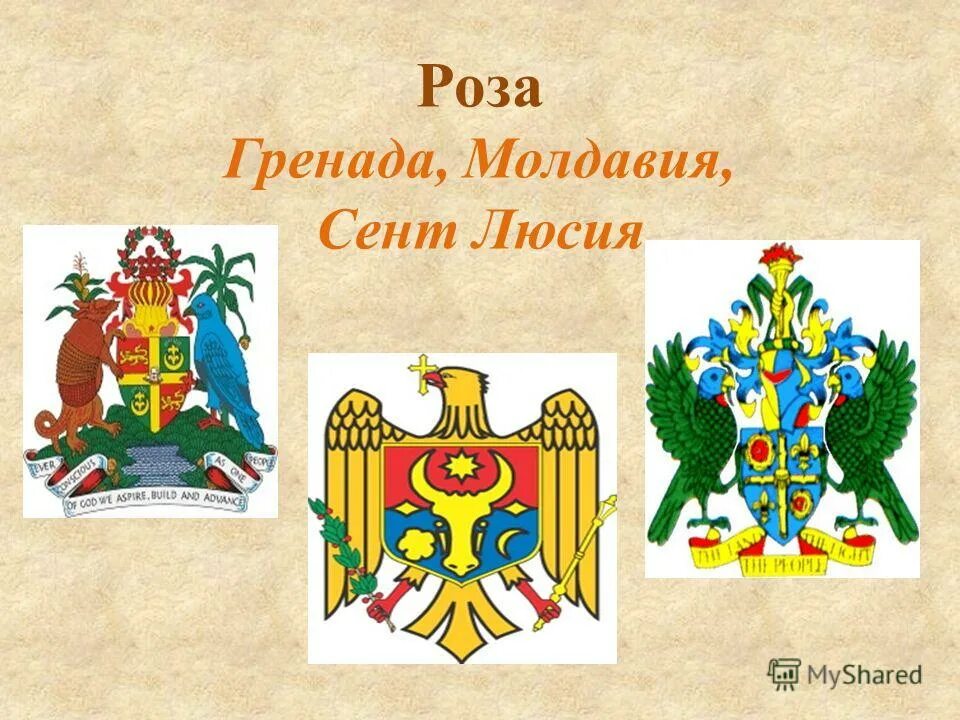 Гербы стран мира. Гербы стран. Гербы стран. Растения на гербах государств. Растения на гербах стран мира.