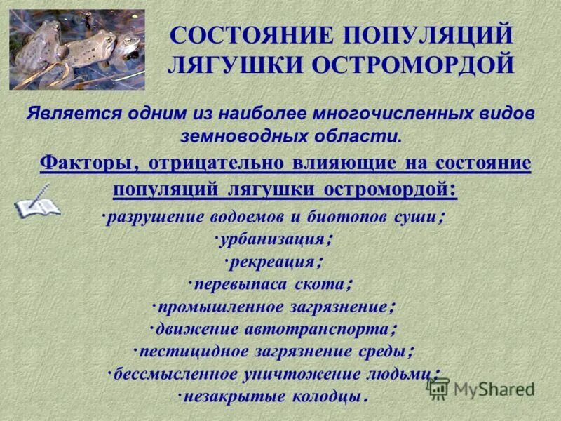 Какое значение земноводных в жизни человека. Значение земноводных в природе и жизни человека. Значение земноводных для человека. Значение амфибий в природе и жизни человека. Какова роль земноводных в природе и жизни человека.