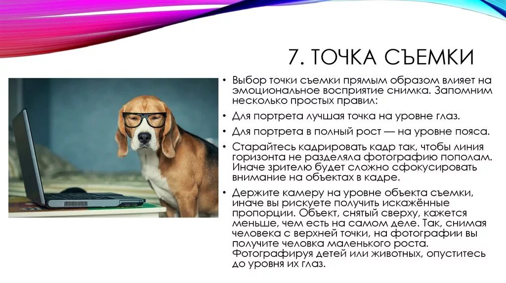 Человек это животное или нет с точки