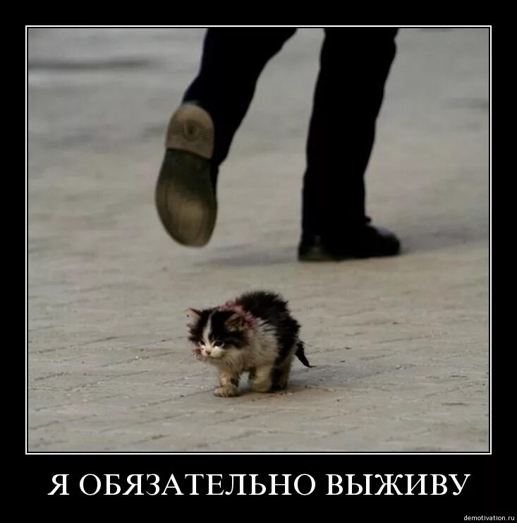 Полина Шопенбаур - YouTube