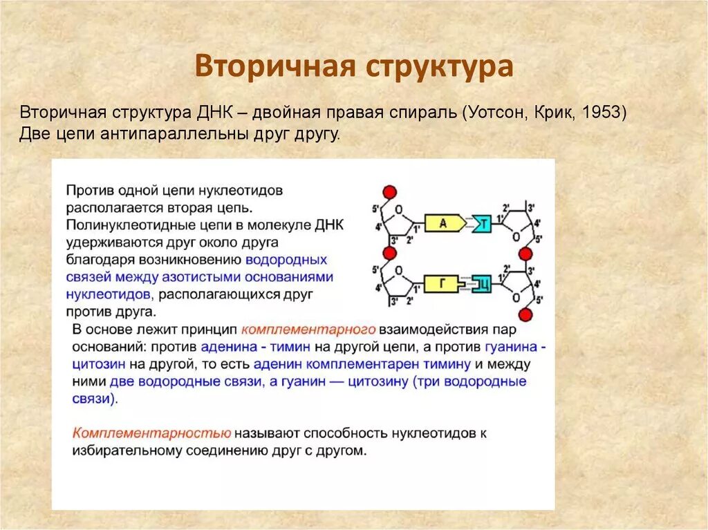 Двойная водородная связь