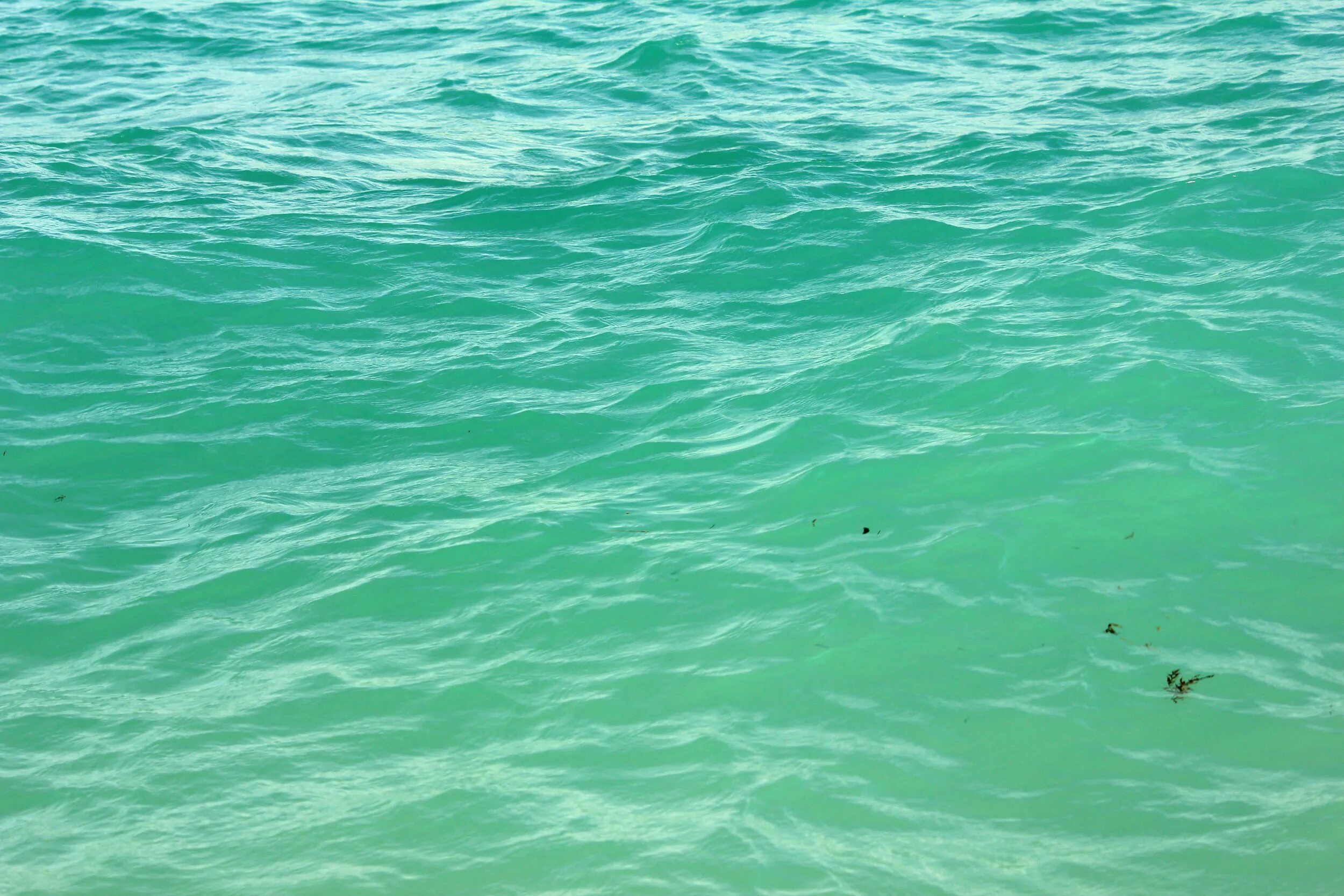 Зеленая вода. Зеленая вода в море. Море на зелёном фоне. Сине зеленая вода. Видеть зеленую воду