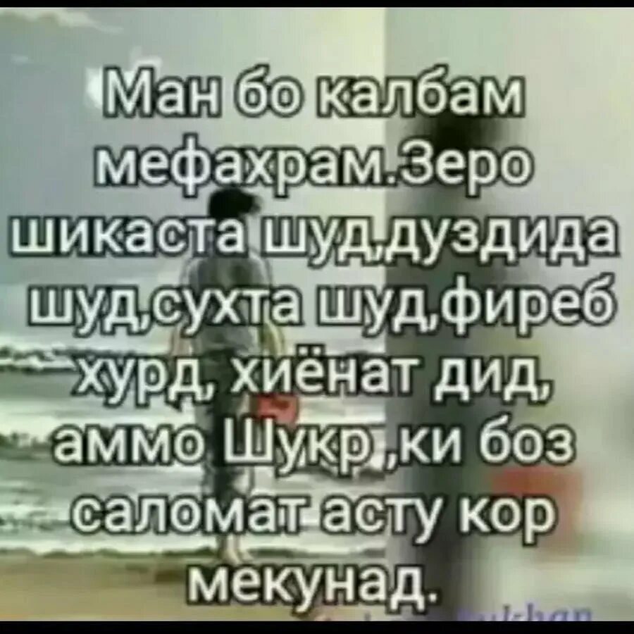 Ман бе ту бохтам вале калбам буд