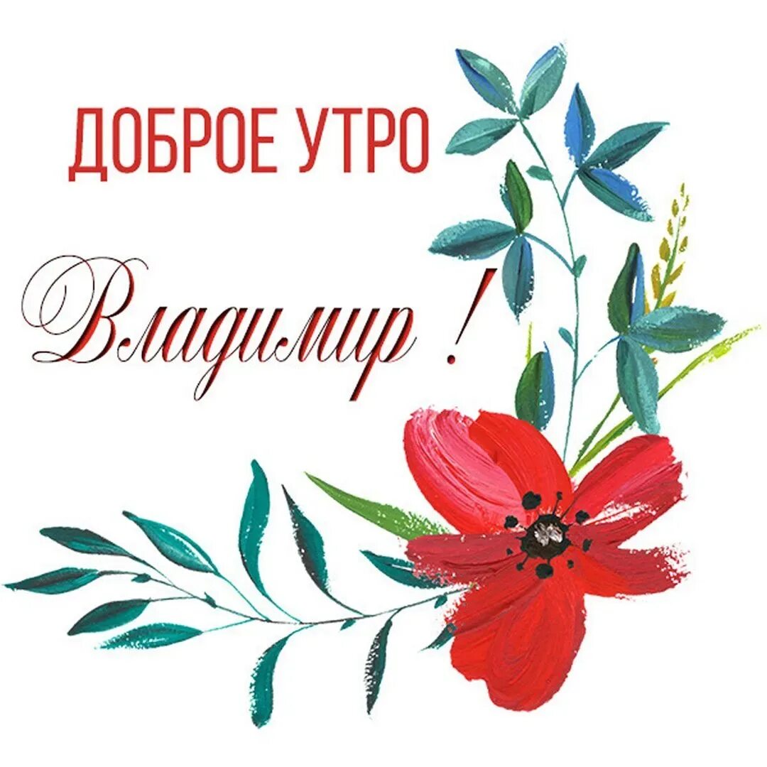 Картинки с добрым утром таня красивые прикольные Открытка Доброе утро доброе утро море кофе