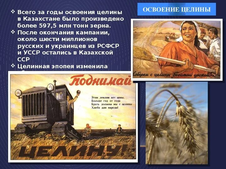 Сформулируйте главную задачу освоения целинных земель. Освоение целины 1950. Целина в Казахстане 1954. Целинные земли Казахстана. Освоение целины в Казахстане.