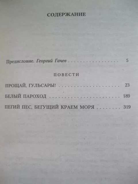 Пегий пес бегущий краткое содержание