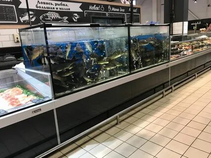 Реализуемая живая рыба и живые водные