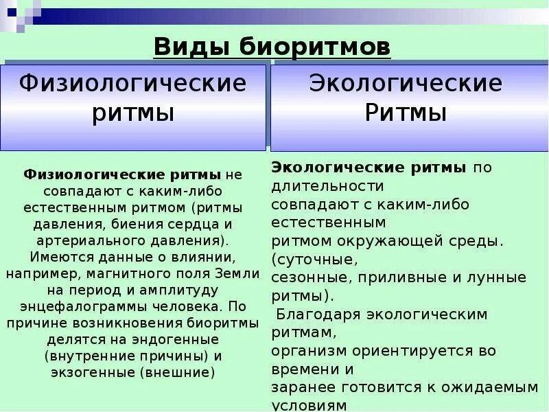 Тип определяющий тип суточного ритма