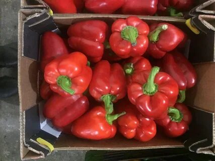 Перец мальчики и девочки