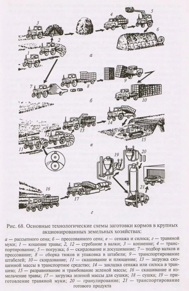 Какие основные способы подготовки кормов. Технология заготовки силоса схема. Схема технологий заготовки травяных кормов. Уборка сена технология схема. Технологическая схема заготовки рассыпного сена.