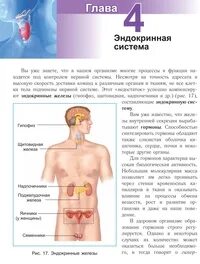 Конспект урока эндокринная система 9 класс биология
