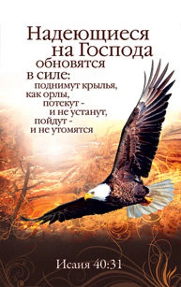 Открытка стих из библии. Библейские стихи. Христианские пожелания. Христианские поздравления мужчине. Христианские стихи на день рождения.