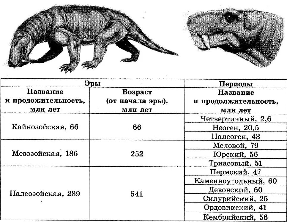 Эры и периоды. Эры периоды эпохи. Эры и периоды таблица. Эволюция эры и периоды. Исследование ископаемых остатков вымерших животных лабораторная работа