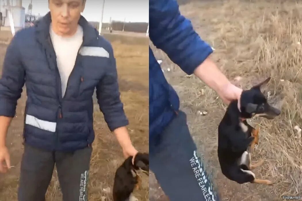 Как душат собак. Парень выгуливает собаку.