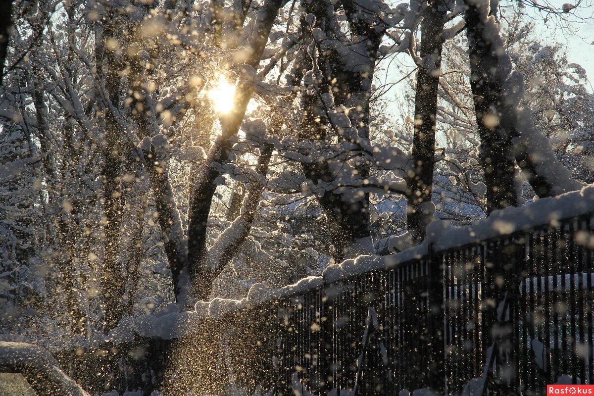 крупный снегопад. падает снег падает снег с высоты. красивый снегопад. падает снег падает снег с высоты. снежинки в воздухе.