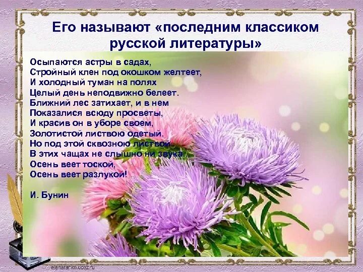 Стих про астру. Стихотворение осыпаются астры в садах. Бунин астры. Как называли последний день