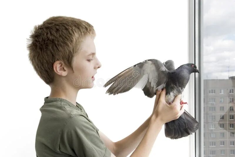 Мальчик и птица оскар. Мальчик и птица. Мальчик и птица кадры. Варавары мальчик и птица. Галерея мальчик птица.
