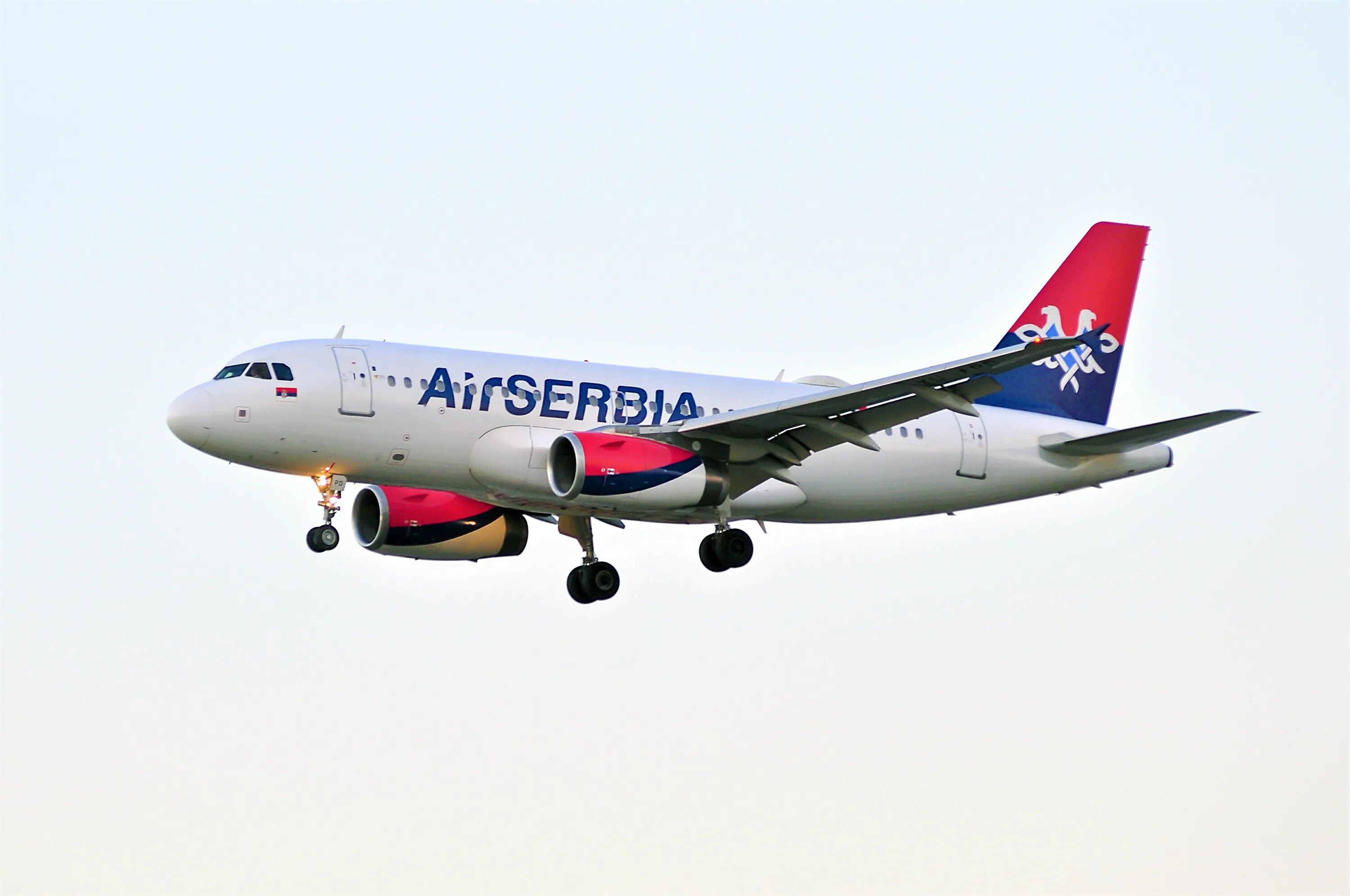 Аир сербия купить авиабилеты. Аэробус а319 Эйр Сербия. A330 Air Serbia. B738 Air Serbia xp11. Air Serbia фиолетовый самолет.