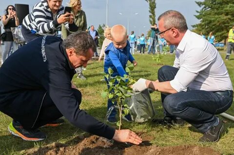 100 кустов