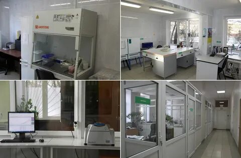 Энергосбыт великие луки телефон