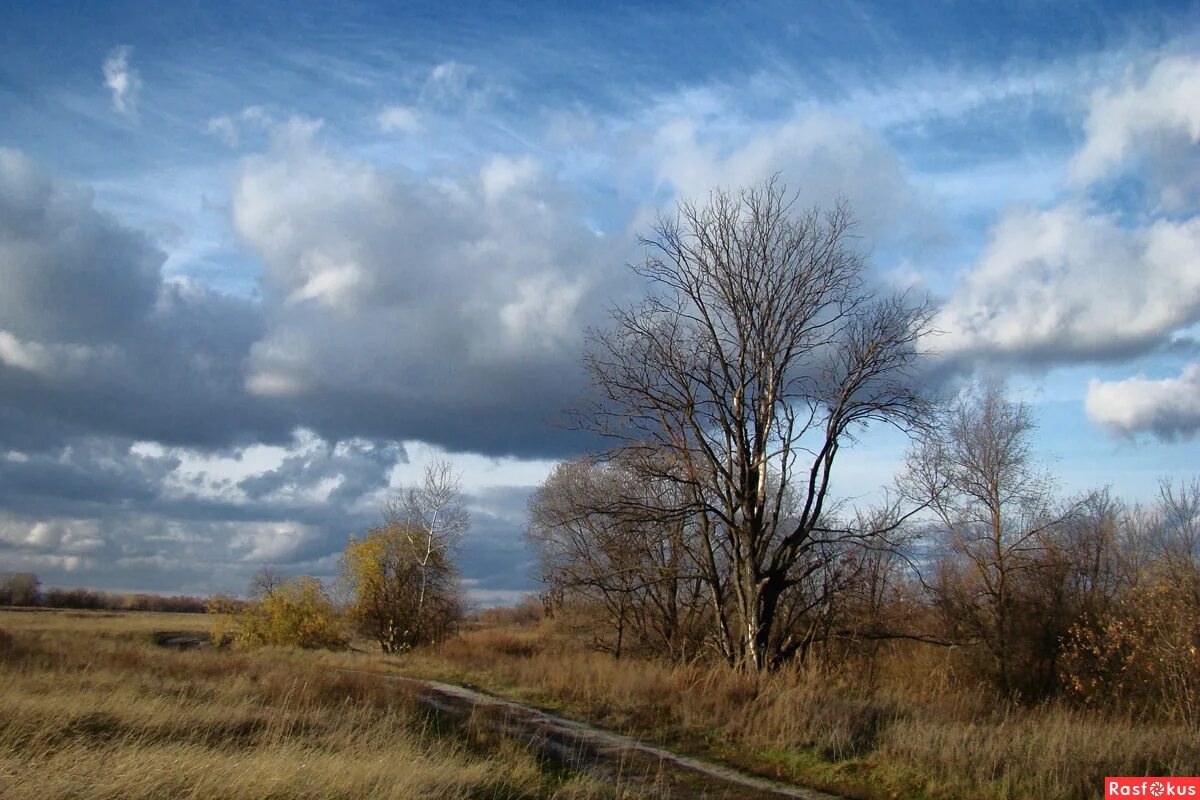 Поздней осени какое число. Поздняя осень. Пасмурная осень. Поздняя осень пейзаж. Небо поздней осенью.