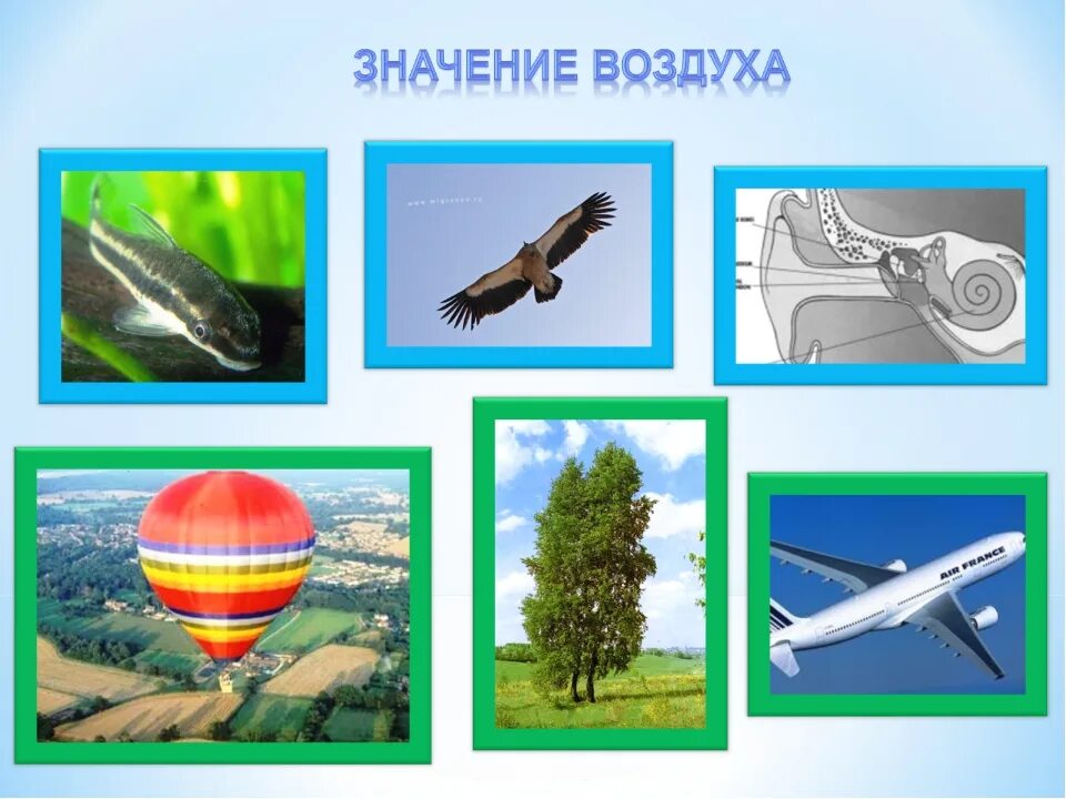 Значение воздуха. Воздух для дошкольников. Значение воздуха для человека. Значимость воздуха.