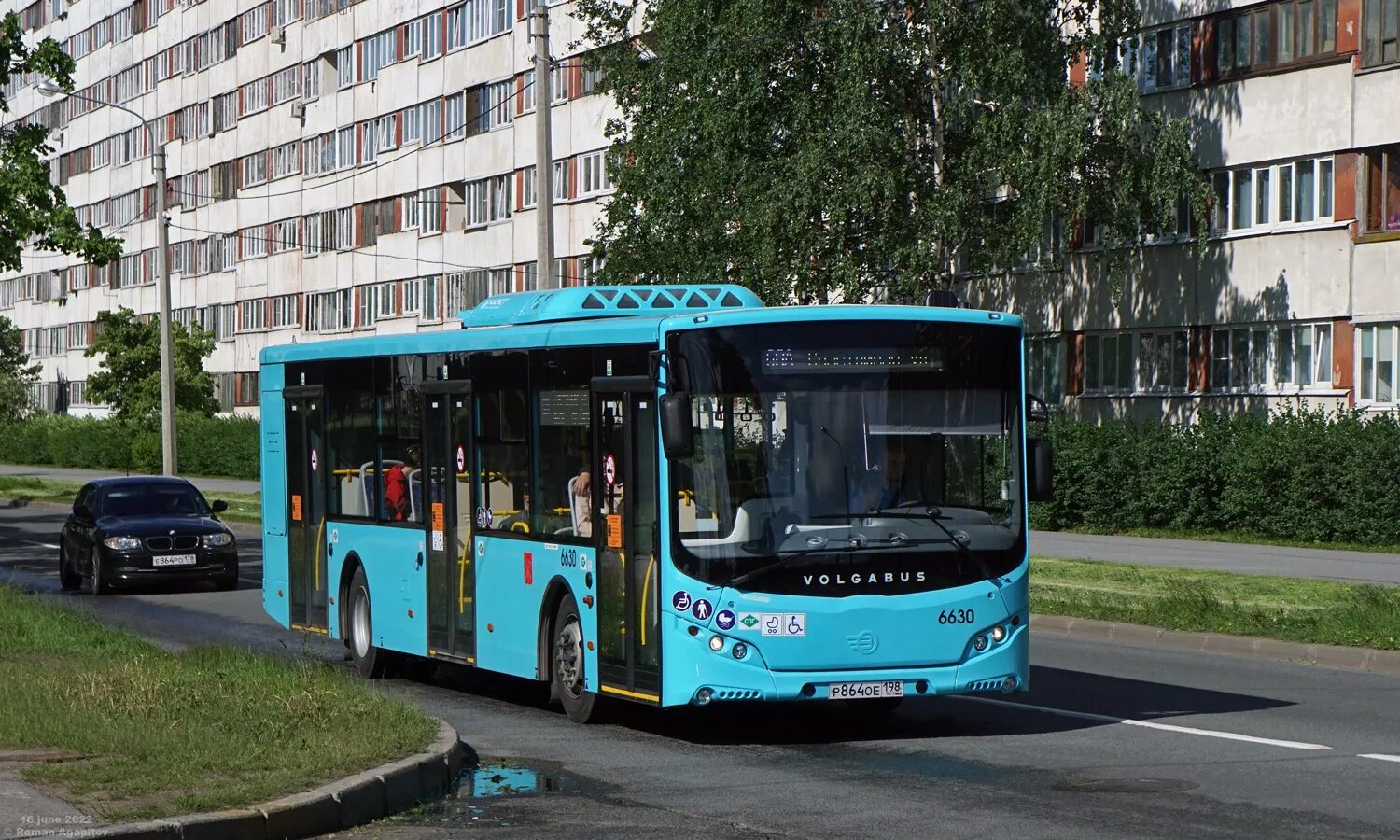 Автобусы спб рыбацкое. Лазурный автобус МАЗ. Новые автобусы. Автобус в городе. Общественный транспорт Санкт-Петербурга.