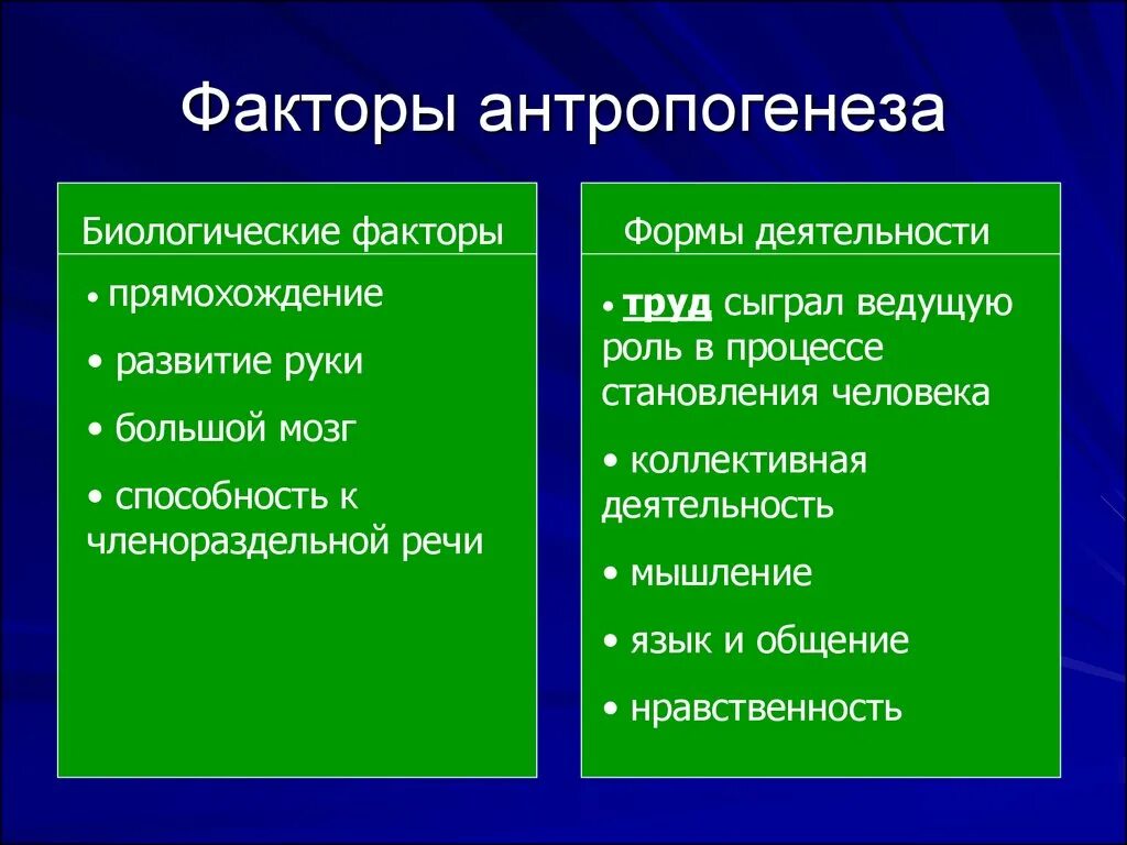 Системы играющей ведущую роль. Факторы антропогенеза. Основные факторы антропогенеза. Социальные факторы антропогенеза. Биологические факторы антропогенеза.