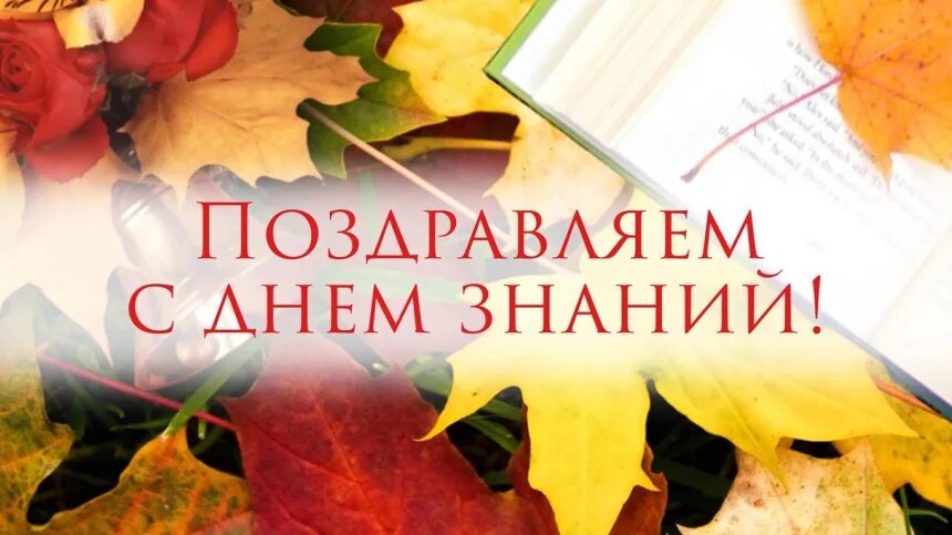 Поздравление ректору. С днем знаний директору. С днем знаний в вузе поздравление. Открытки вуз с днем знаний. С днем знаний преподавателю.