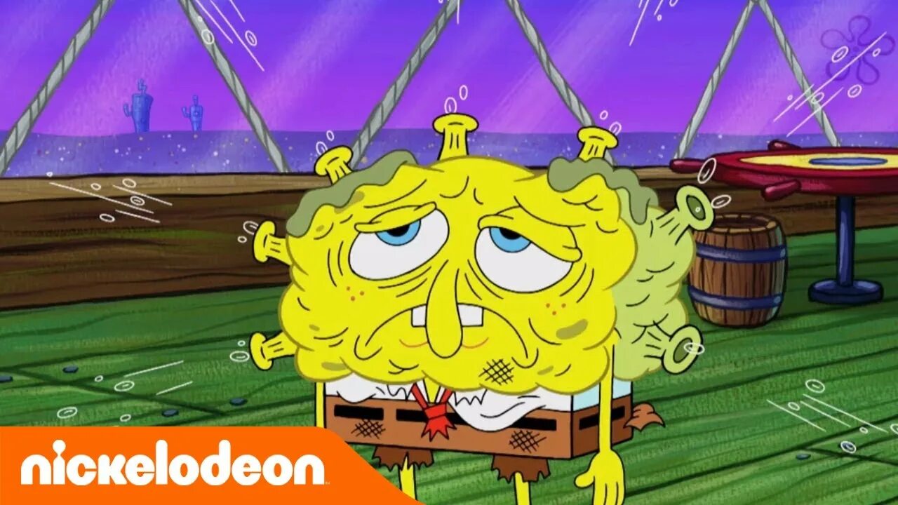 Sold spongebob. Ананас спанч боба. Spongebob funny pants. Губка бомж. Spongebob squarepants 2016.