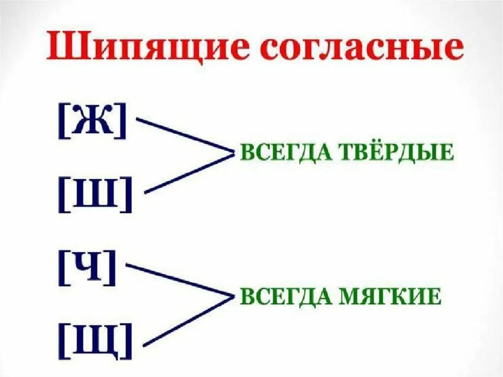 Какие всегда твердые. Шипящие звуки в русском языке 2 класс. Шипящие согласные буквы в русском языке 2 класс. Твёрдые и мягкие шипящие звуки 2 класс. Шипящие согласные звуки 1 класс.