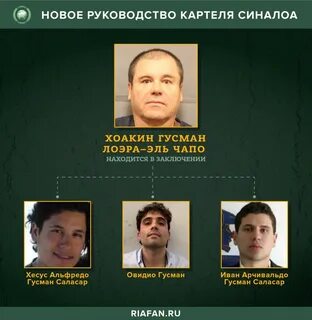 Телеграмм канал картель