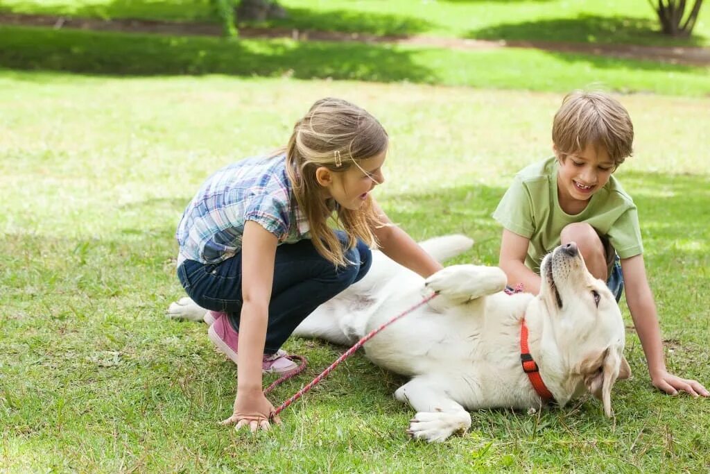 Человек и домашнее животное. Дети с домашними животными. Собака для детей. Ребенок играет с собакой.