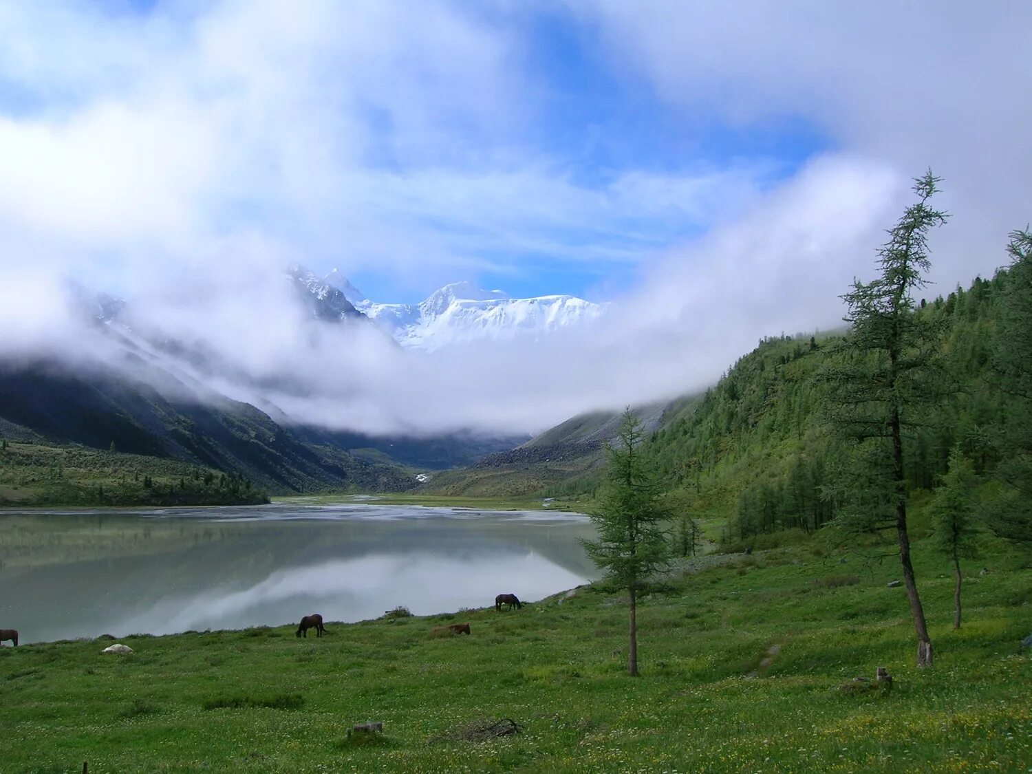 Бирюля республика алтай. Село Бирюля горный Алтай. Село Бирюля Майминский район. Склон горы Алтай.