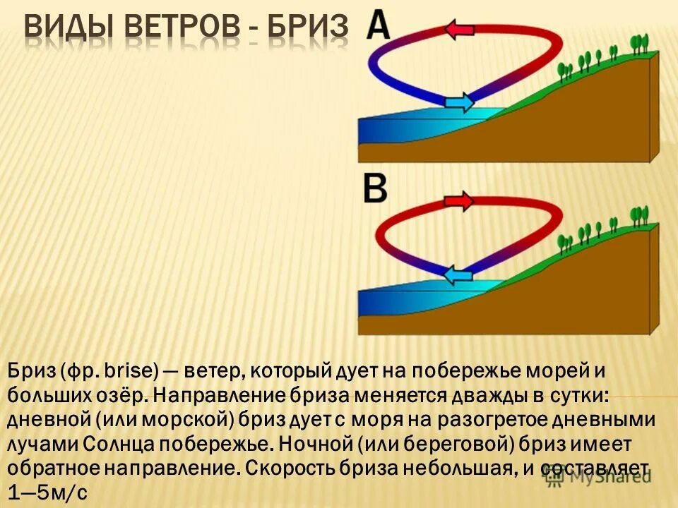 Параграф 40 ветер. Виды ветров Бриз. Виды ветров схема. Виды ветров презентация. Ветер который дует на побережье морей и больших озёр.